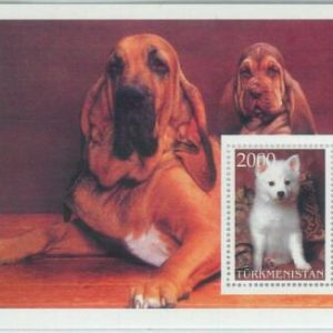 M1959 - TURKMENISTAN, SOUVENIR SHEET: Dogs, Pets, Animals