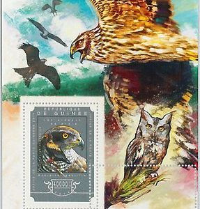 GUINEA - ERROR, 2014 MISSPERF SHEET: BIRDS OF PREY, OWLS, EAGLES, ANIMALS