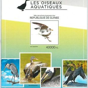 GUINEA - ERROR, 2014 IMPERF SHEET: AQUATIC BIRDS, MARINE LIFE, ANIMALS