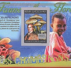 FRENCH GUINEA - ERROR, 2011 IMPERF SHEET: MUSHROOMS, Fauna and Flora