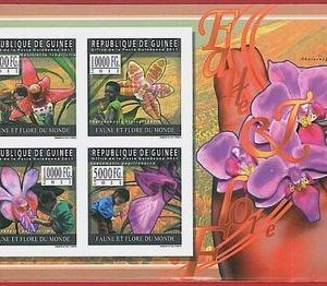 FRENCH GUINEA - ERROR, 2011 IMPERF SHEET: FLOWERS, ORCHIDS, Fauna & Flora