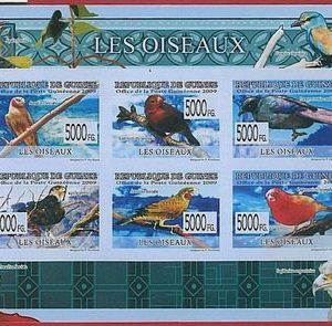 FRENCH GUINEA - ERROR, 2009 IMPERF SHEET: BIRDS, Animals