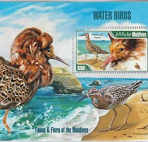 MALDIVES - ERROR, 2013 MISSPERF SHEET: FAUNA & FLORA, WATER BIRDS