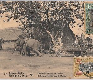 Congo Belge / Belgian Congo  POSTAL HISTORY - POSTAL STATIONERY CARD:  ELEPHANT