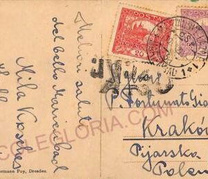 ad5858 - CZECHOSLOVAKIA - Postal History - POSTCARD to POLAND 1920 Taxed??