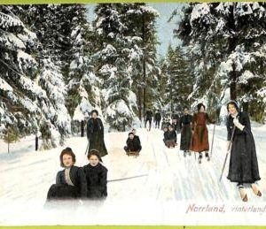 ad2599 - SWEDEN - VINTAGE POSTCARD - Norrland, Ethnic