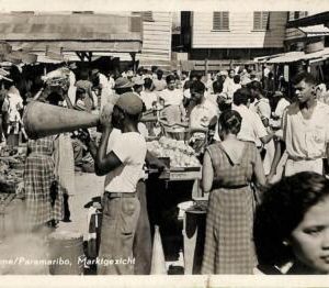 ad3919 - Dutch Colonies - VINTAGE POSTCARD - Suriname