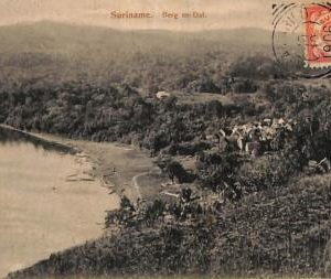 ad3917 - DUTCH COLONIES - VINTAGE POSTCARD - Suriname - 1906