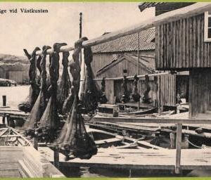 ad2720 - SWEDEN - VINTAGE POSTCARD