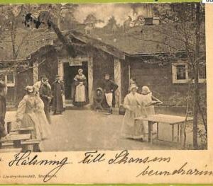ad2680 - SWEDEN - VINTAGE POSTCARD - Stockholm ( Skansen )
