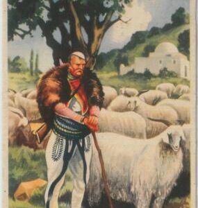 79353 - ALBANIA - VINTAGE Ethnic POSTCARD  -  COSTUMES