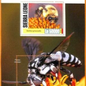 A6825 - SIERRA LEONE, Error, 2020, MISSPERF SONNENBLATT: Bienen, Insekten