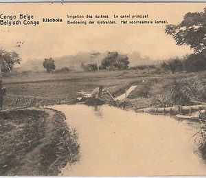 Congo Belge / Belgian Congo POSTAL HISTORY - POSTAL STATIONERY CARD: agricolture