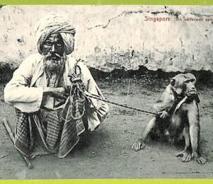 ah0320 - SINGAPORE - VINTAGE POSTCARD -  1911  -  Ethnic DANCING MONKEY