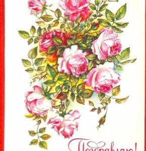 aa3145 - USSR Russia - POSTAL HISTORY -  PICTURE  STATIONERY CARD - FLOWERS 1980