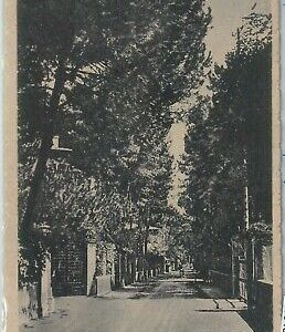 80646 - CARTOLINA d'Epoca - LUCCA  - FORTE dei MARMI   1949