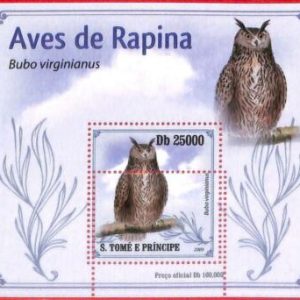 A4469 - SAO TOME & PRINCIPE - ERROR MISPERF, Souvenir sheet: 2009, Birds of Prey