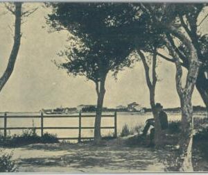 79425  -  ARMENIA  - VINTAGE  POSTCARD