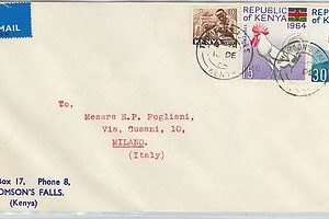 61369 - KENYA  - POSTAL HISTORY -  COVER to ITALY  - FAUNA Animals BIRDS