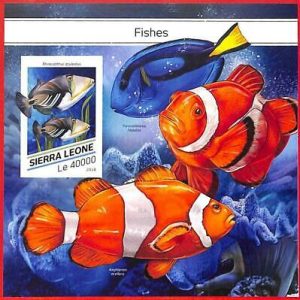 A4777 - SIERRA LEONE - ERROR IMPERF, Sonderblock: 2018, Fische, Meereslebewesen