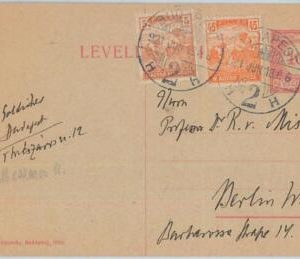 75556 - HUNGARY - POSTAL HISTORY - Postal Stationery Card to GERMANY - 1918