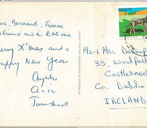 59785 - BRAZIL - POSTAL HISTORY: POSTCARD to IRELAND  1974 -   Dogs