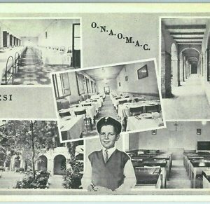 97364 - CARTOLINA d'Epoca -  ANCONA  provincia  - JESI  : ONAOMAC