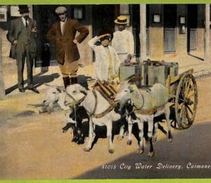 12744 - HABANA - Vintage Postcard - Caimanera, City Water Delivery - 1911