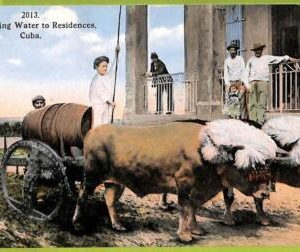 12747 - HABANA - Vintage Postcard - Delivering Water to Residences