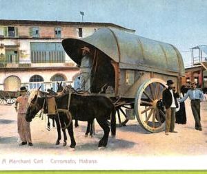 aa5929 - HABANA - Vintage Postcard - Carromato - A Merchant Card - Costumi