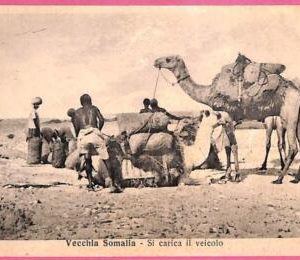 af9241 - SOMALIA - VINTAGE POSTCARD - Animals