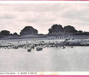 af9227 - SOMALIA - VINTAGE POSTCARD - ETHNIC