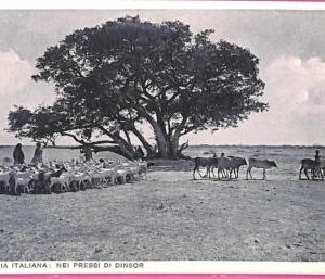 af9226 - SOMALIA - VINTAGE POSTCARD  - Ethnic