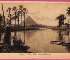 ag2955 - EGYPT - VINTAGE POSTCARD - Cairo, Flood time near Pyramids