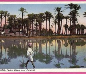 ag2951 - EGYPT - VINTAGE POSTCARD - Cairo, Narive village near Pyramids