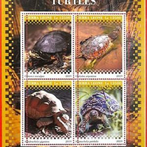 A4829 - SIERRA LEONE - ERROR MISPERF, Miniatura hoja: 2019 Tortugas, Reptiles
