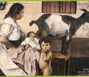 af2332 - HABANA - Vintage Postcard - Havana - Ethnic - 1912