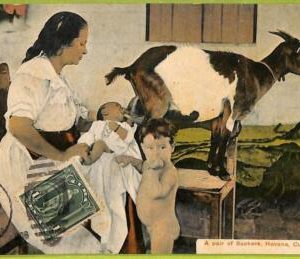af2331 - HABANA - Vintage Postcard - Havana - Ethnic - 1910's