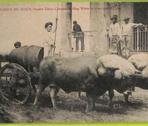 aa6042 - HABANA - Vintage Postcard - Pipa de Agua - 1924 - Costumi