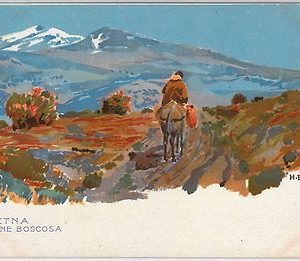 44078  CARTOLINA d'Epoca - CATANIA :  ETNA  - Illustrata WIELAND