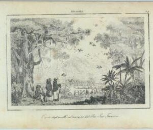 84933 - BRAZIL - VINTAGE Italian Engraving 1800's