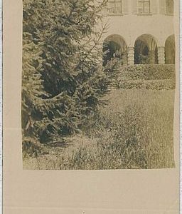 35916  CARTOLINA d'Epoca SONDRIO -  Traona 1908