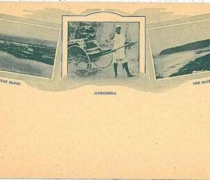 15459 - NATAL - Postal History -  PICTURE STATIONERY Card - DURBAN
