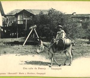 af2375 - ECUADOR - Vintage Postcard -  Guayaquil