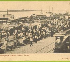 af2399 - ECUADOR - Vintage Postcard -  Guayaquil - Mercado de frutas