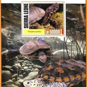 A6802 - SIERRA LEONA, Error, 2020, HOJA DE RECUERDO MISSPERF: Tortugas,...