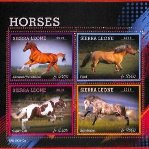A4619 - SIERRA LEONE - ERROR MISPERF: 2019, Caballos, Andaluz, Gypsy Cob, Fjord