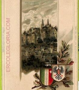 ad4860 - SWITZERLAND  Schweitz - Ansichtskarten VINTAGE POSTCARD-Neuchatel-1900