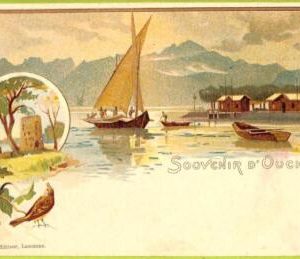 ad4887 - SWITZERLAND Schweitz - Ansichtskarten VINTAGE POSTCARD - Ouchy