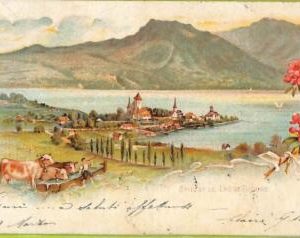 ad4981 - SWITZERLAND Schweitz - Ansichtskarten VINTAGE POSTCARD - Spiez